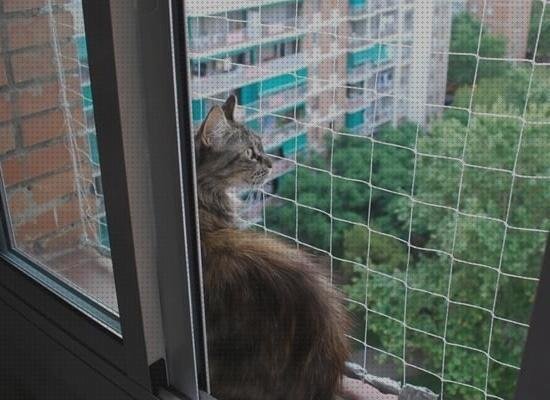 Análisis de las 14 mejores rejillas ventanas gatos